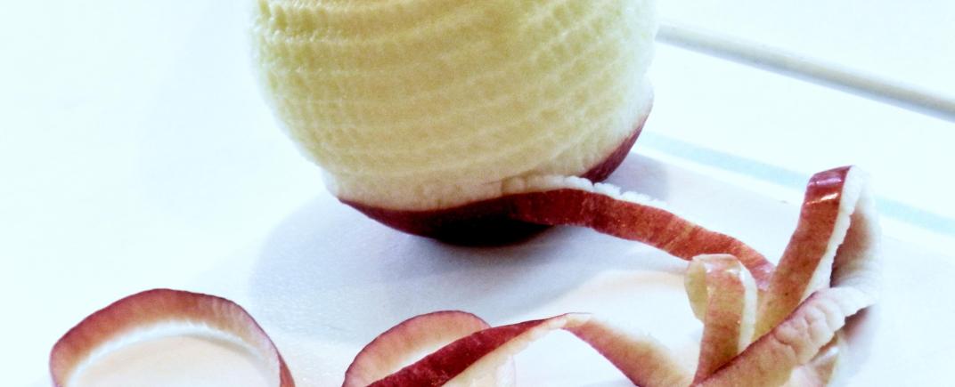 PrecariCorps, Why We Need A Foudation